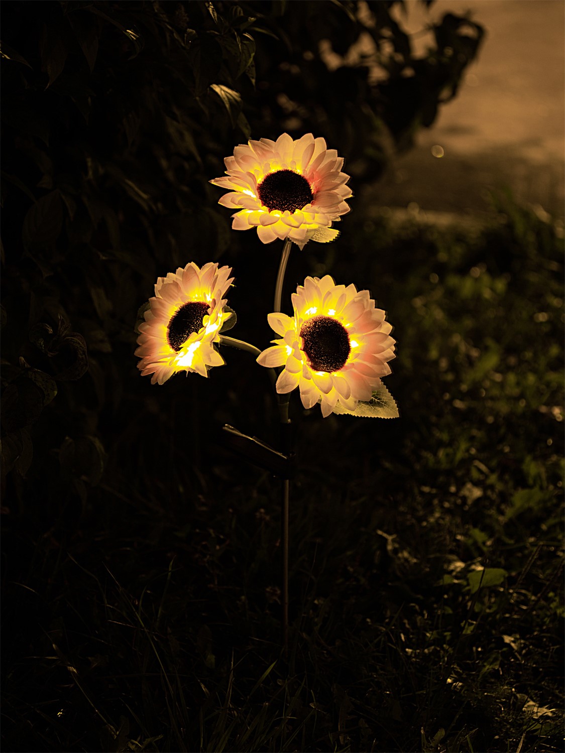 ЕГ САД 24Лед Подсолнух - 25