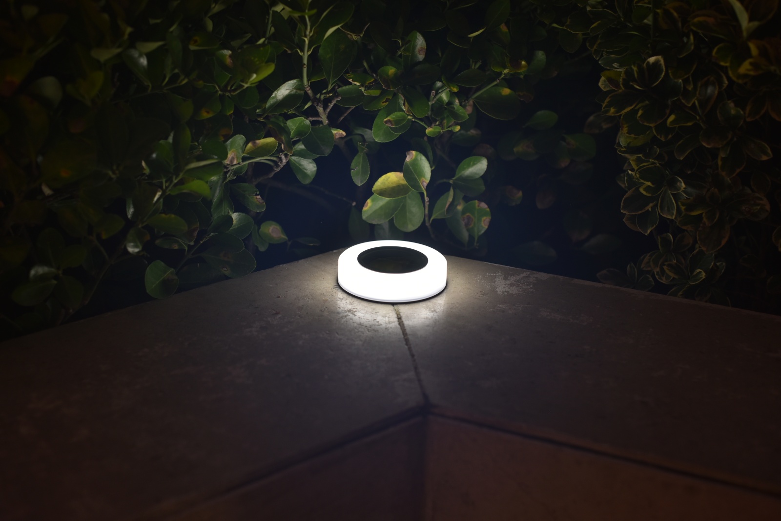 ЕГ САД 8Лед Техно Круг - 30