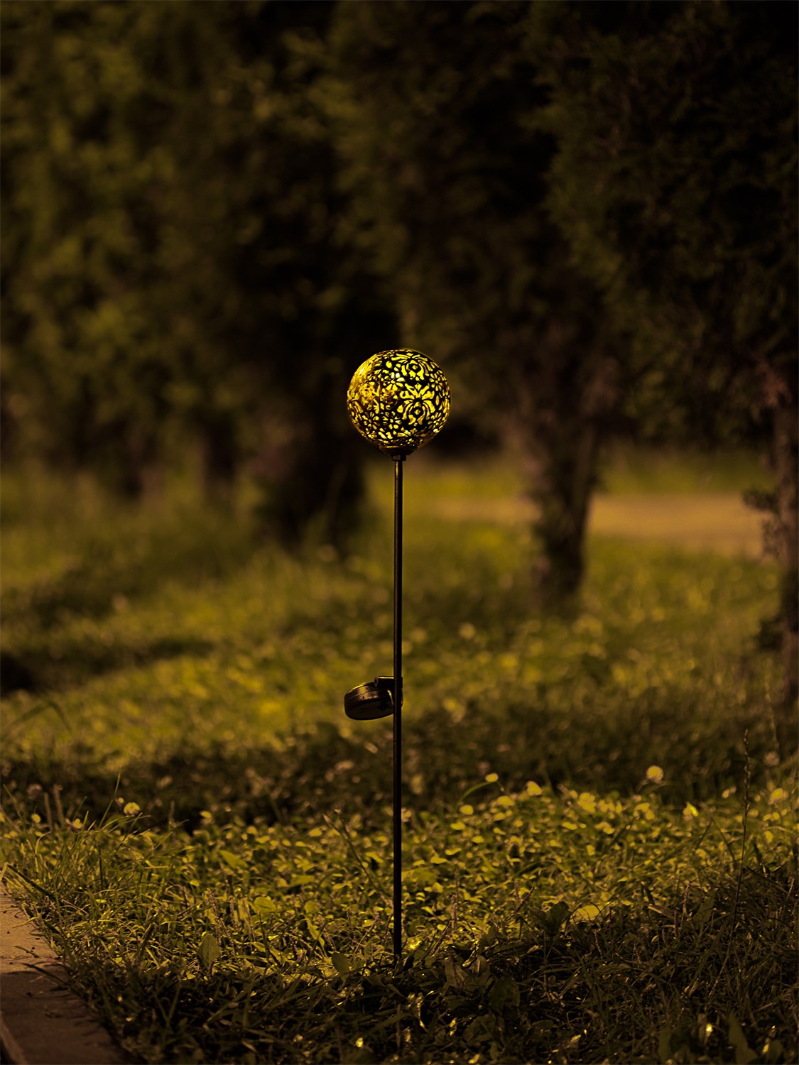 ЕГ САД 1Лед Дамаск - 12