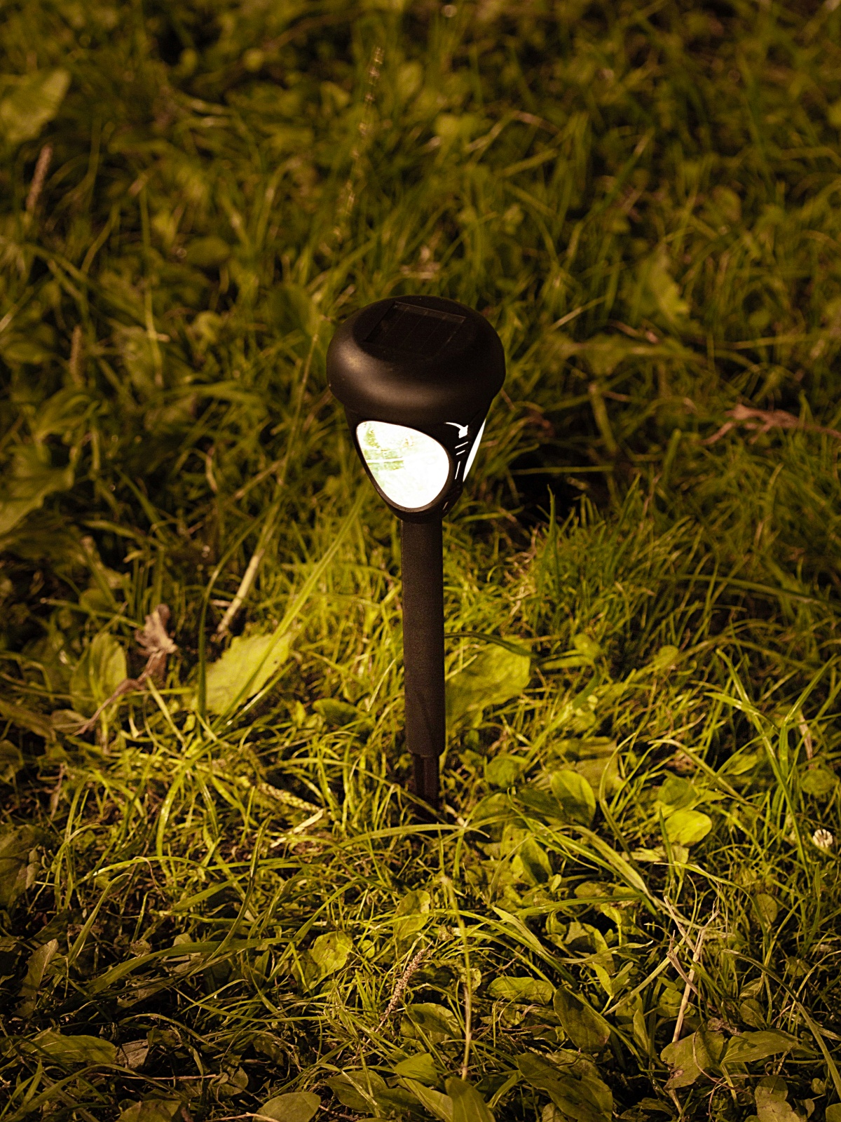 ЕГ САД 1Лед Лантерн бабочка - 12