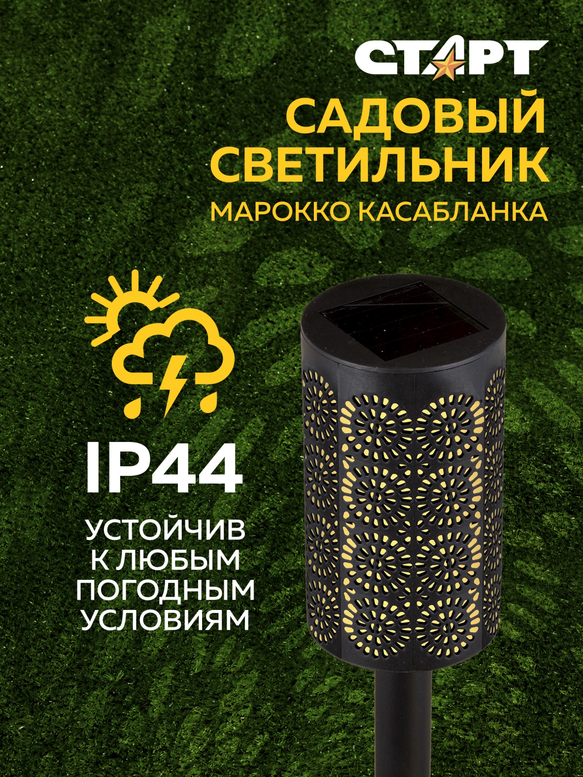 СТАРТ  САД 12Лед Марокко Касабланка --24