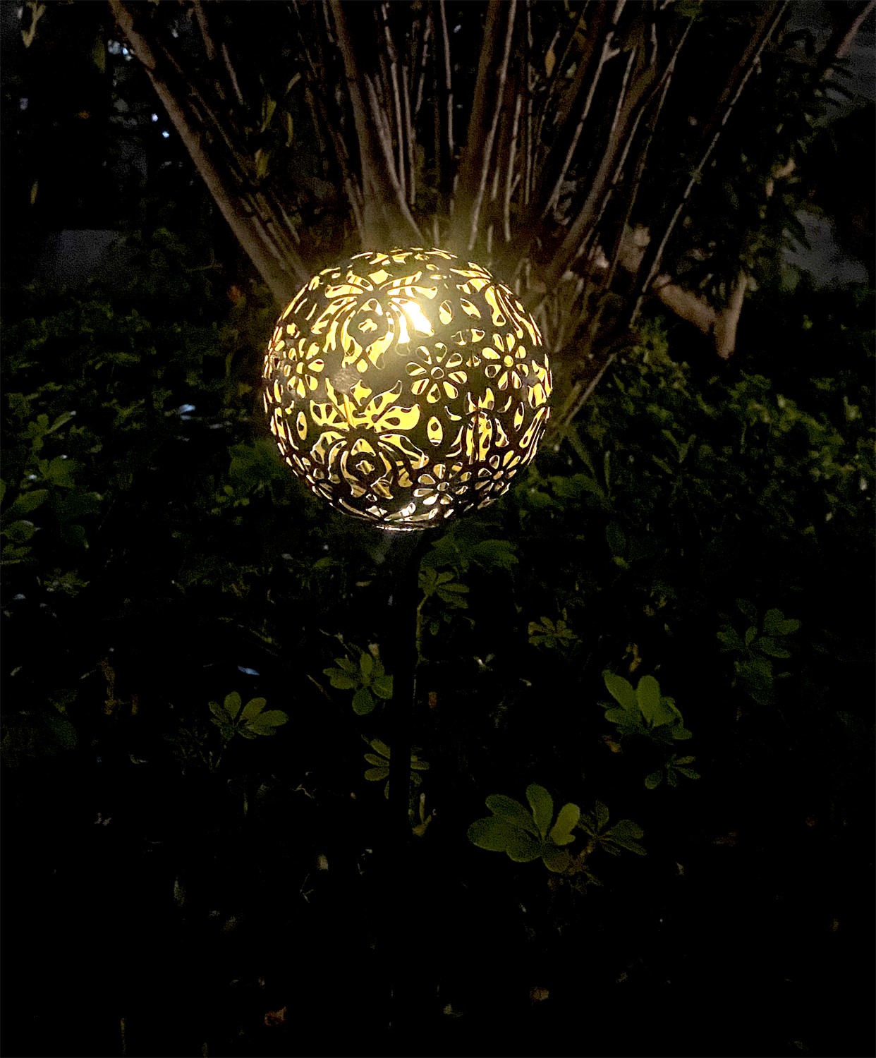 ЕГ САД 1Лед Дамаск - 12