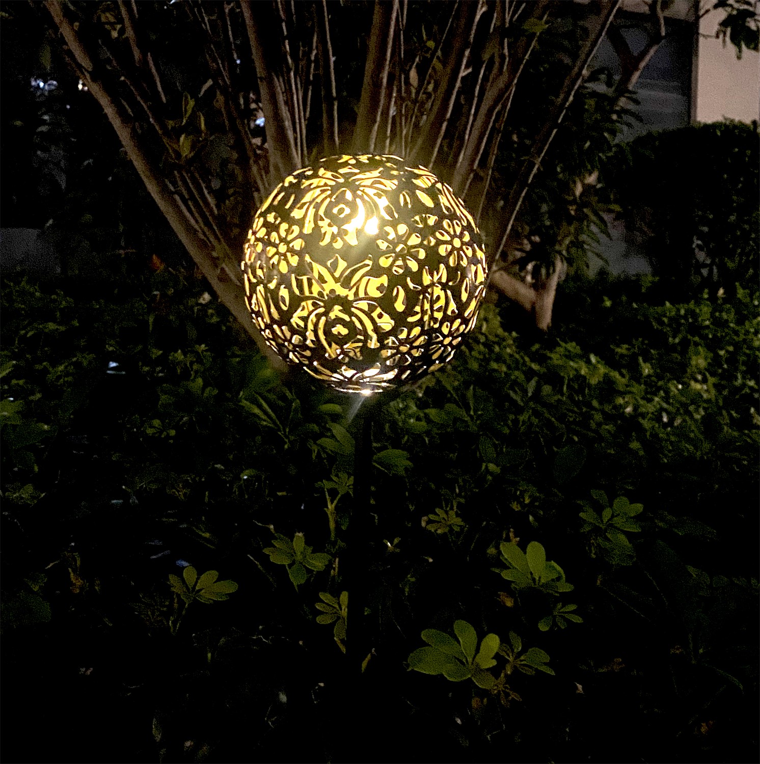 ЕГ САД 1Лед Дамаск - 12