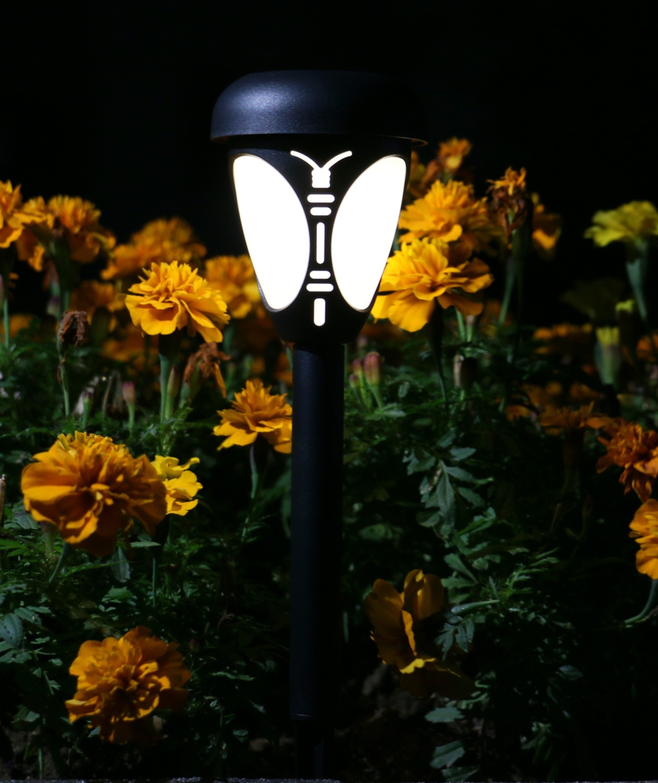 ЕГ САД 1Лед Лантерн бабочка - 12