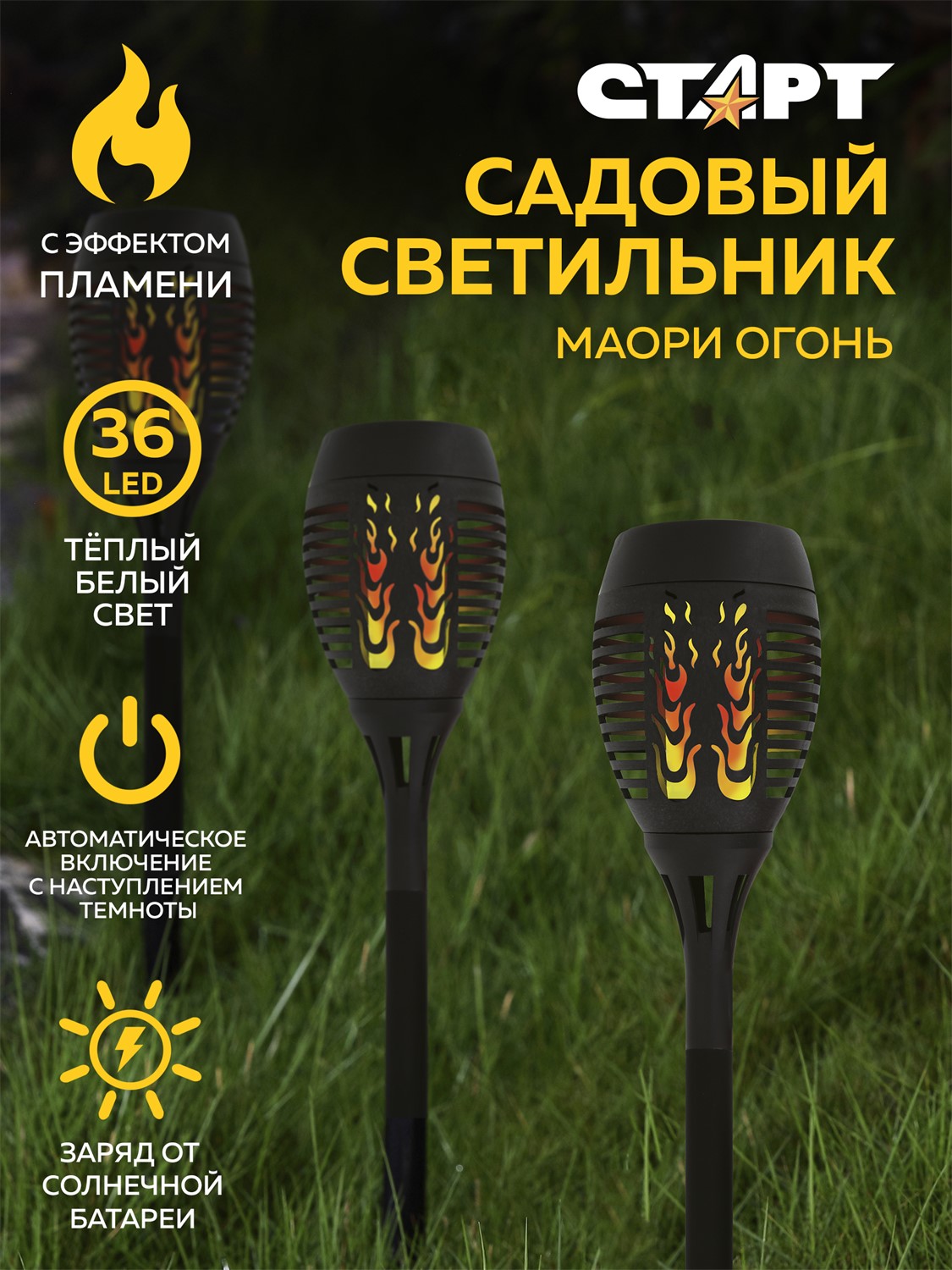 СТАРТ  САД 36Лед Маори Огонь - 12