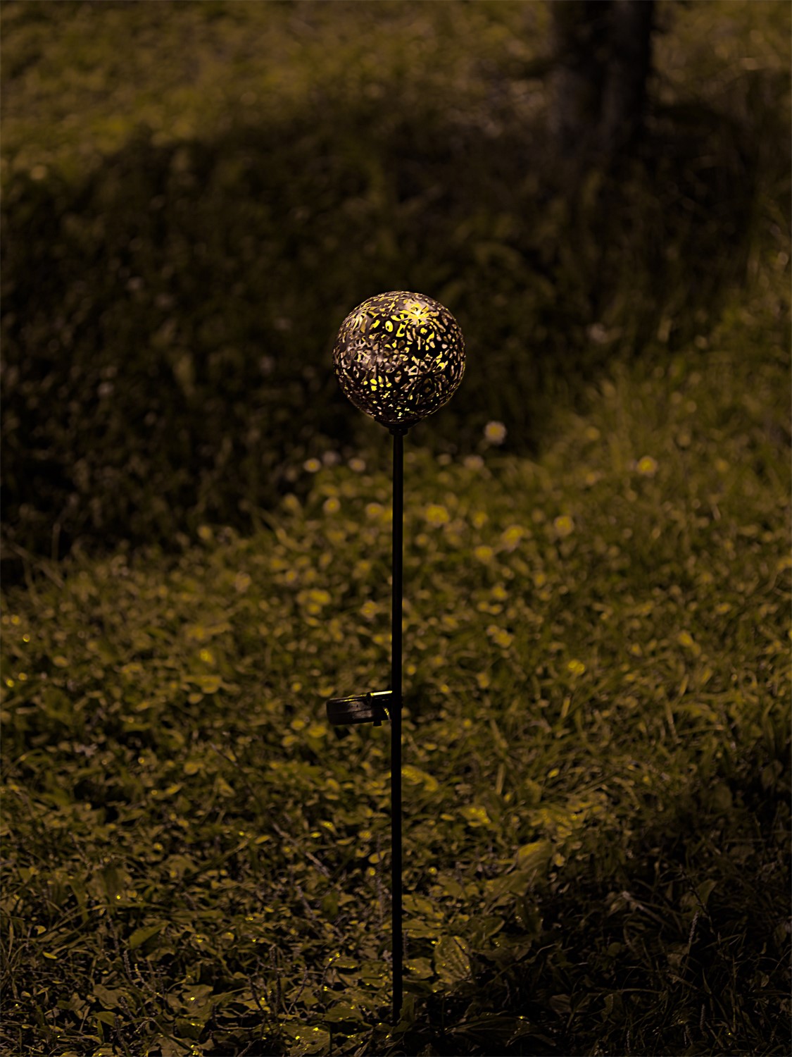 ЕГ САД 1Лед Дамаск - 12