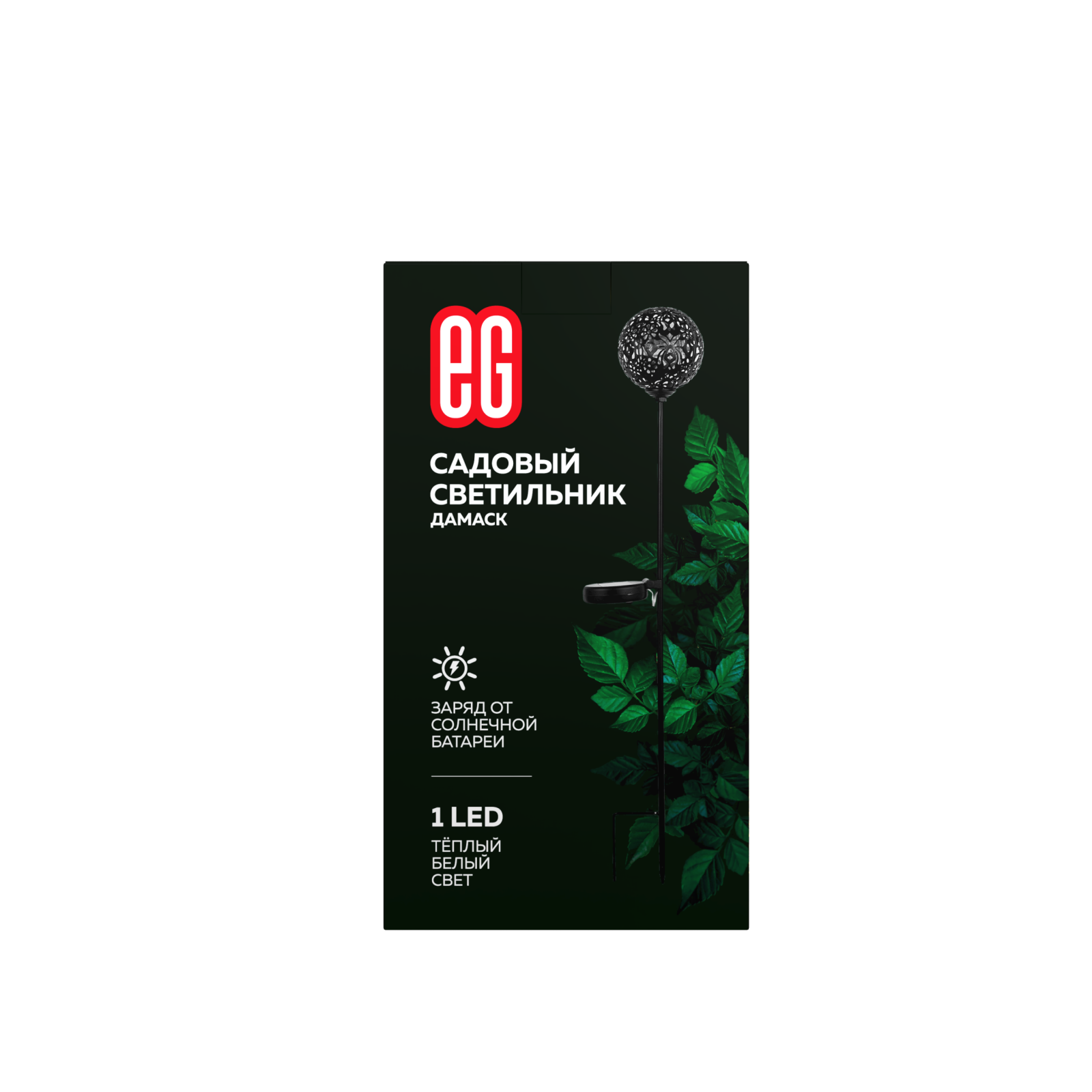 ЕГ САД 1Лед Дамаск - 12