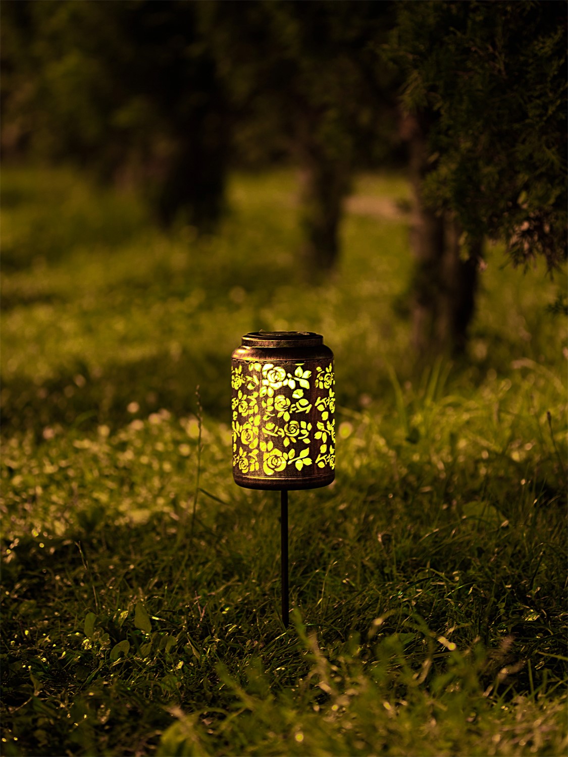 ЕГ САД 1Лед Флер - 12