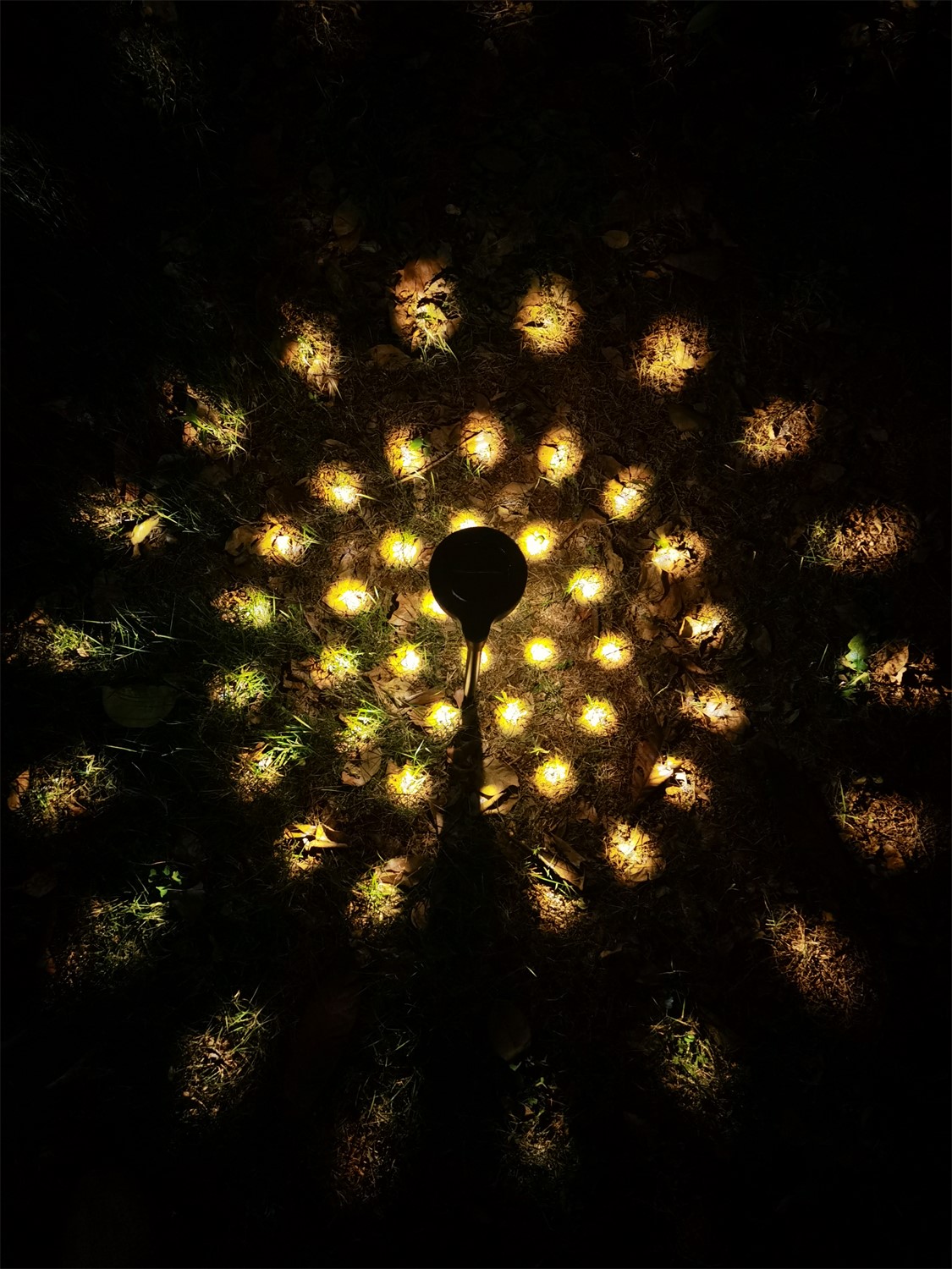 ЕГ САД 1Лед Техно 38,5 см - 12